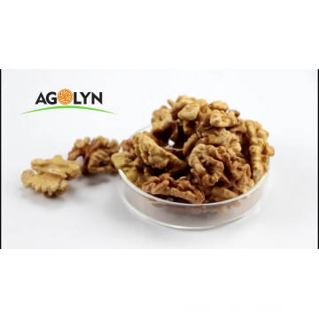 Organic Raw Walnuts in Shell Walnut Kernels low Price